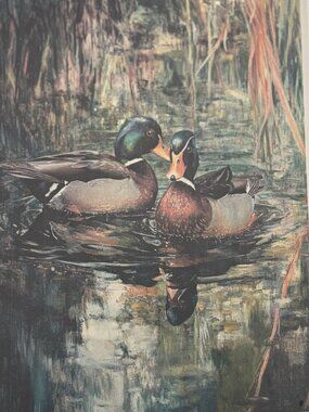 Jigsaw Puzzle 1000 pieces Mallard Ducks NEW